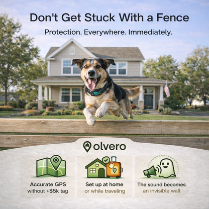 Dog jumping over a wooden fence with a house in the background, featuring Olvero product information.