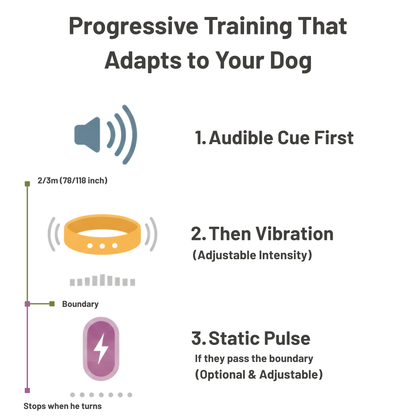 Diagram of a dog training device with auditory, vibration, and static pulse components.